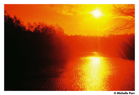 Harman RED 125 ISO - 120 Harman