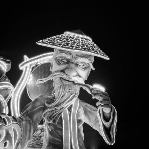 Ilford Delta 3200 ISO - 120 Ilford